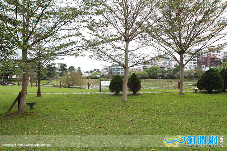 花蓮市鬧中取靜祕境~田埔生態池