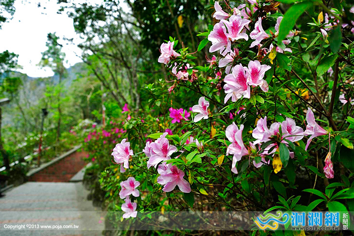 <a href=travel/taroko/2009-08-27/338.html target=_blank class=infotextkey>太魯閣</a>晶英-02.jpg