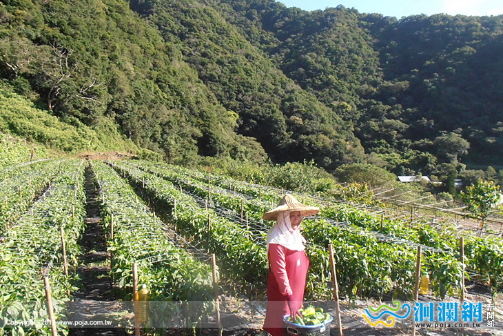 太魯閣國家公園「樂活西寶」活動，4/20起報名