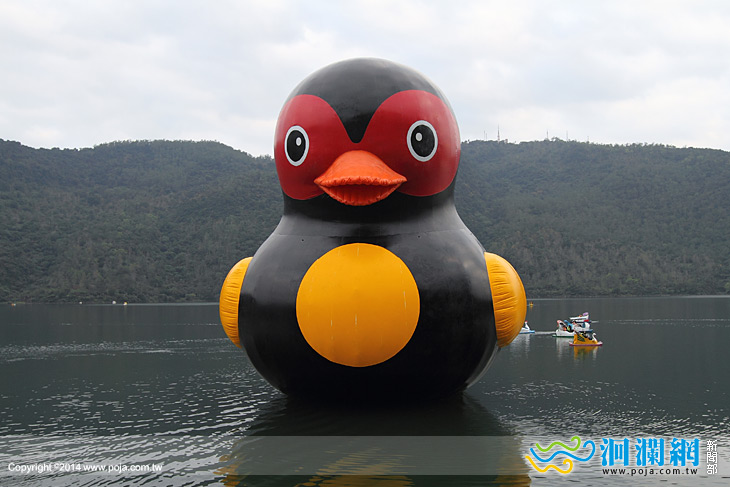 紅面鴨鯉魚潭充氣，目擊民眾雀躍搶先看
