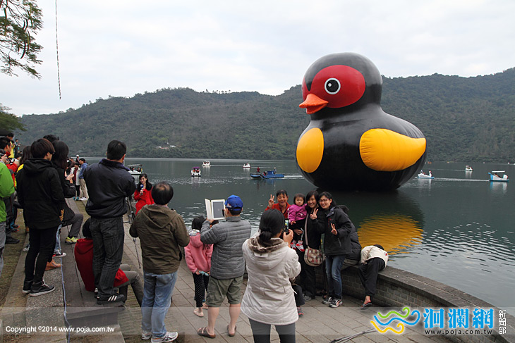 3/2鯉魚潭紅面鴨FUN假趣