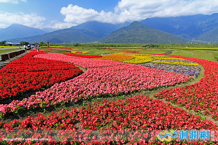 大農大富平地森林園區2大主題玩新年