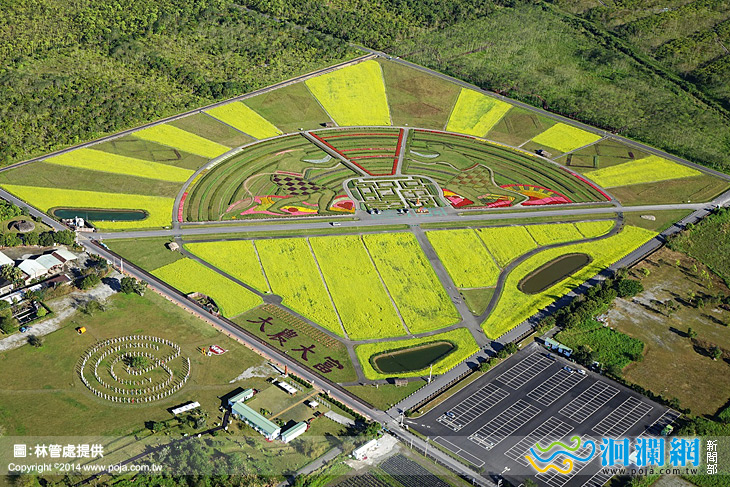 上帝的圖騰! 觀賞要把握最後花期