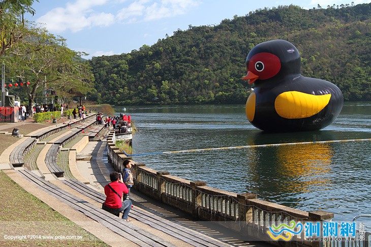 紅面鴨藍虎鯨魅力不減活動延長至3/2