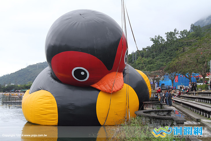 藍鯨「收鯨」福鴨「收鴨」，暑假將亮麗再登場