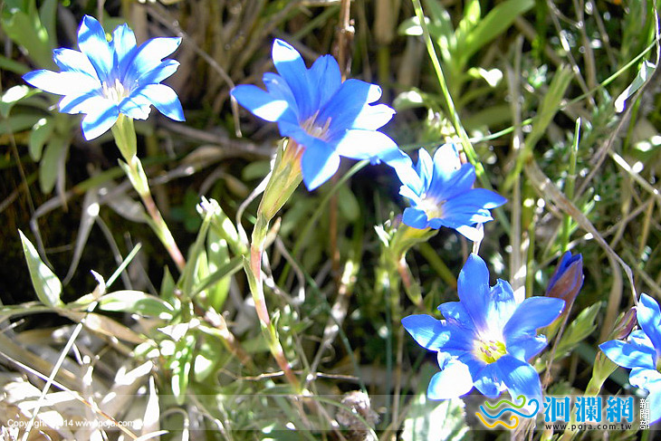 太管處推出「小風口定時定點解說服務」活動