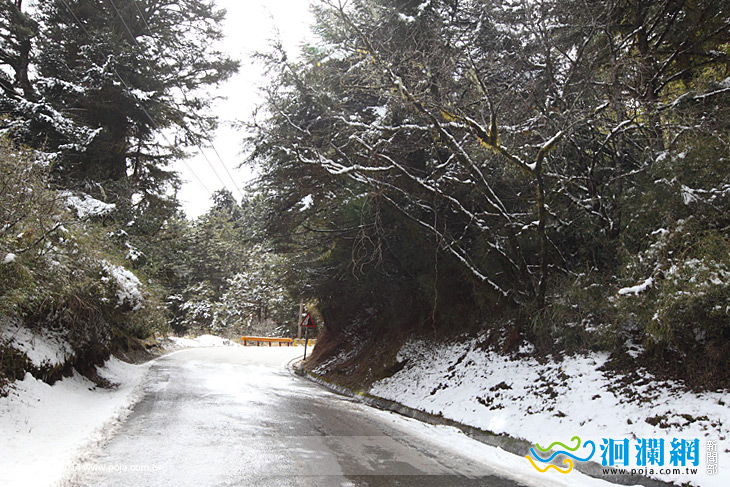 太管處-雪季-01.jpg