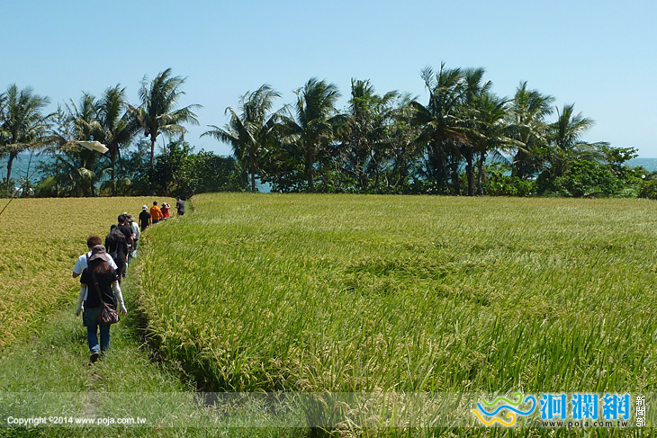 搭建傳統talu’an，上山下海過生活