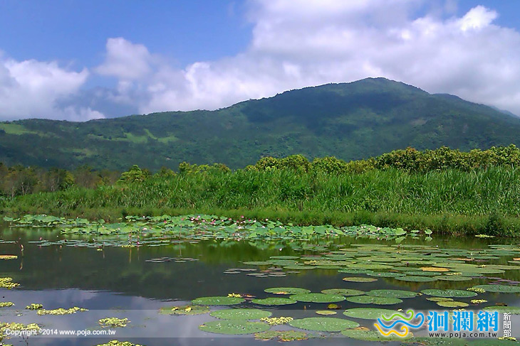 富興Lipahak生態農場採蓮趣