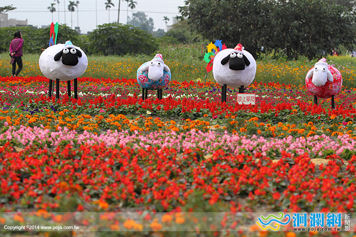 吉安鄉花海-羊羊得意