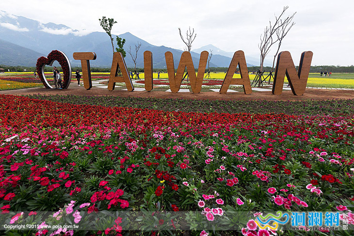 大農大富花海．羊群賀新春