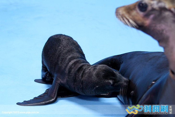 海洋公園-06.jpg