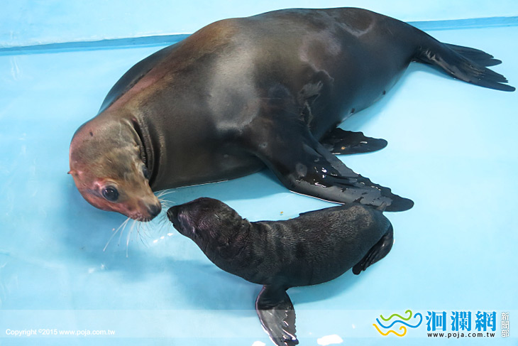 海洋公園-02.jpg
