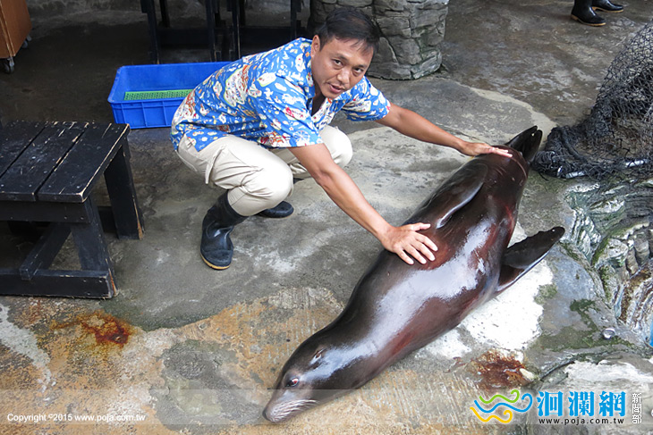 海洋公園-04.jpg