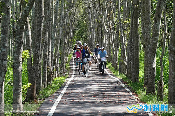 大農大富特色路段命名19日網路開跑
