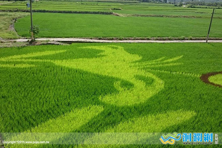 富里彩繪稻田-01.jpg