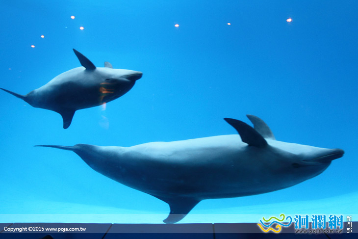 海洋公園-05.jpg