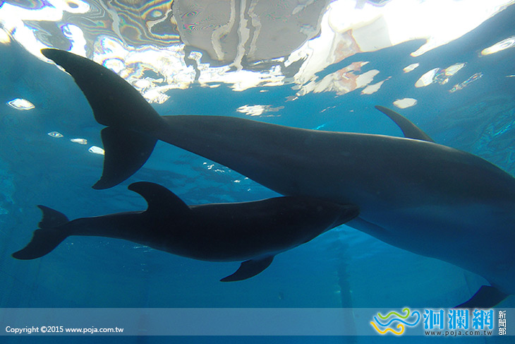 海洋公園-01.jpg