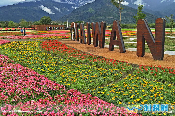 大農大富平地森林園區花海綻放迎新春