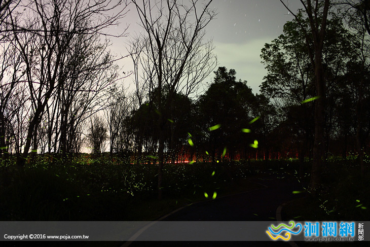 大農大富賞螢機制林管處將整合社區共識平台