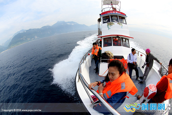 花蓮賞鯨，現在出發正舒適