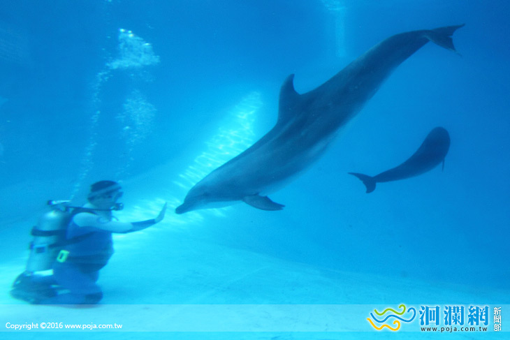 海豚媽媽第一次過母親節，享用海鮮大餐
