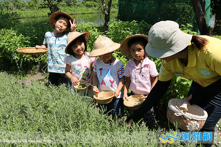 理想五星級飯店暑假兒童Nino Club營出發!!