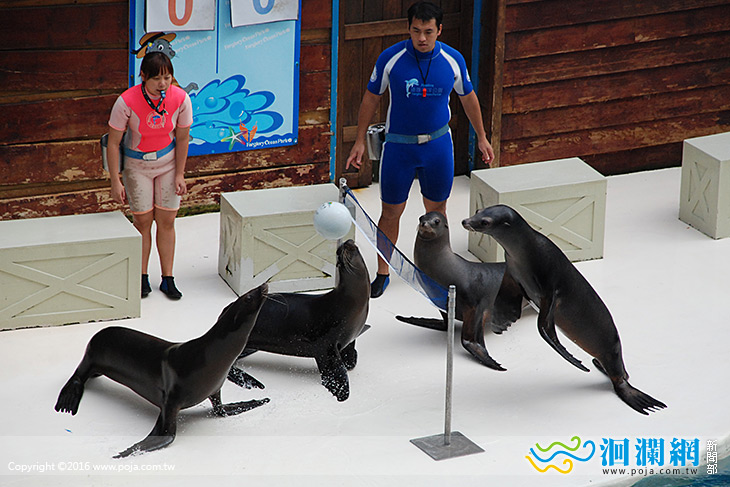 9月海洋公園推出好禮三連發