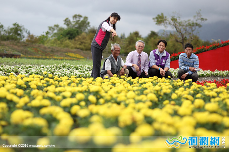 花蓮市花海就緒，等待百花齊放