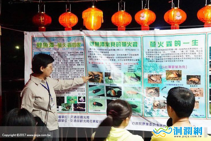 2017花東縱谷螢蝶生態之旅即將開跑!