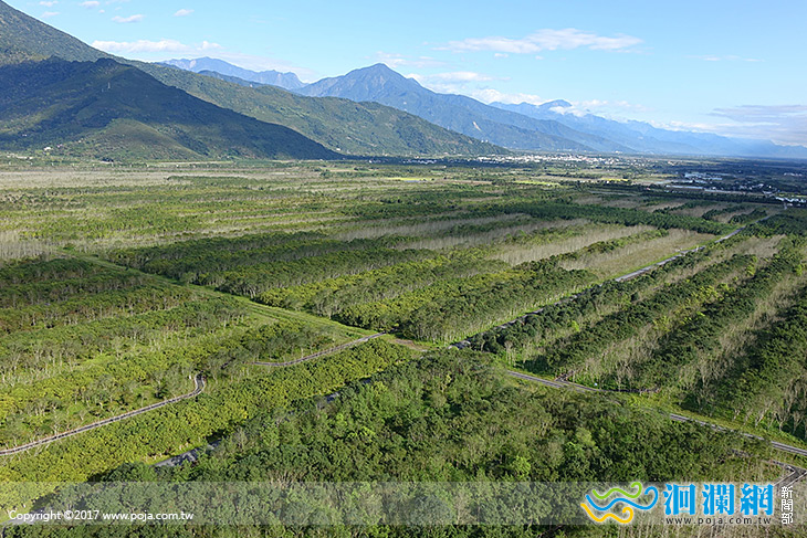 大農大富平地森林園區賞螢活動已結束囉~