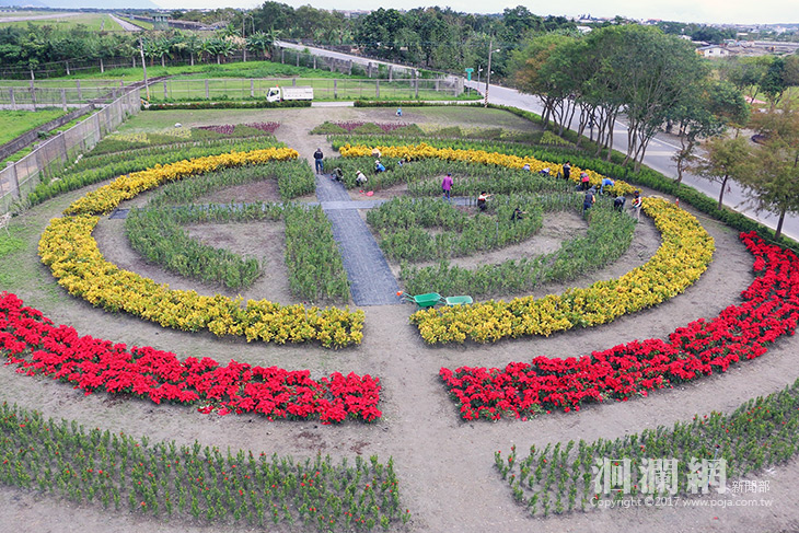 花蓮市國福花海親子迷宮23日繽紛綻放