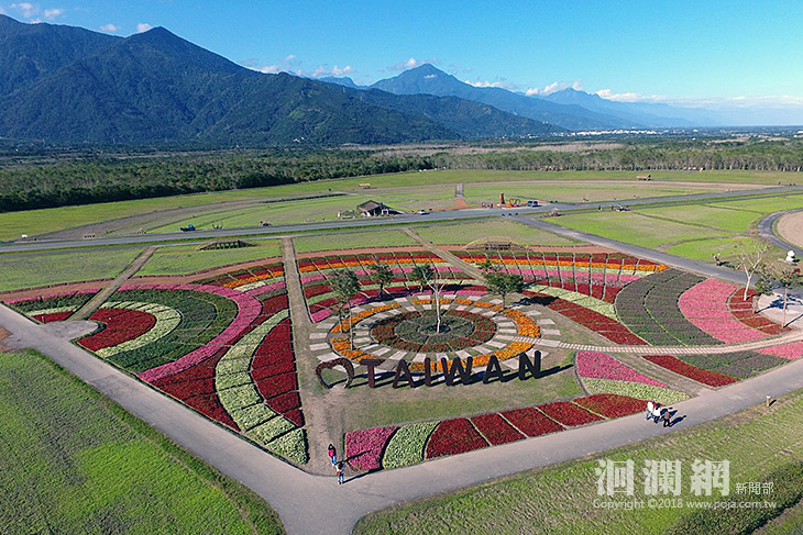 大農大富平地森林園區迎春花海繽紛綻放