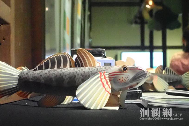 春節連假跟著大吻鰕虎尋找森林與大海的神祕約會