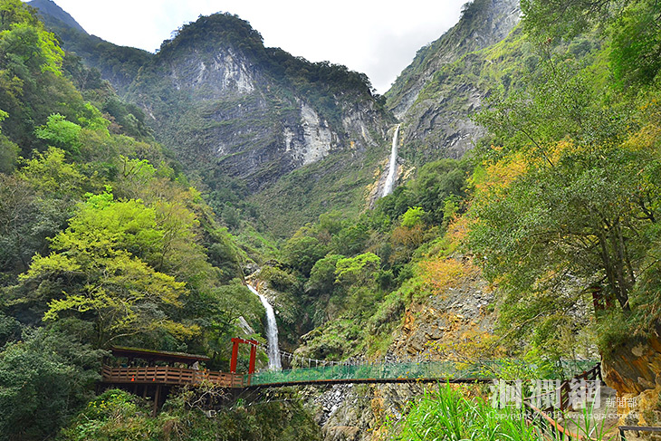 白楊步道增設友善步道及強化安全設施，來走走吧