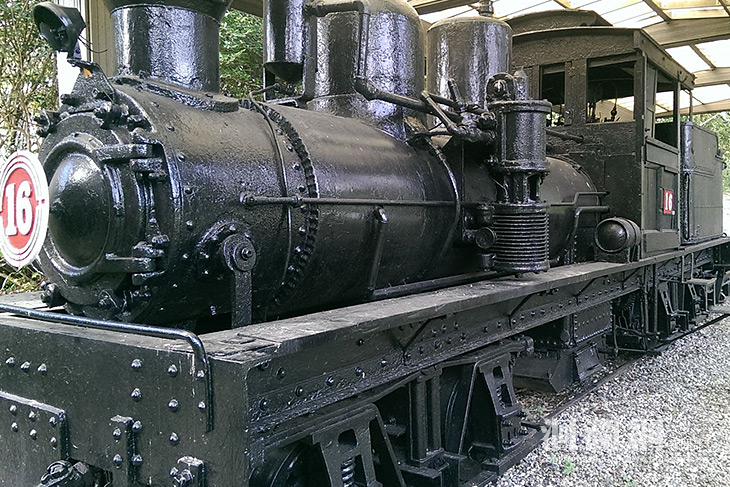 2018兒童節池南國家森林遊樂區12歲以下免費入園