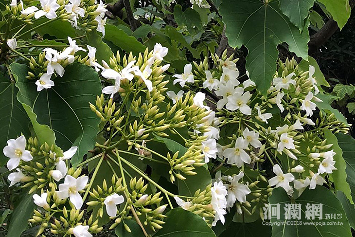 林管處-06.jpg