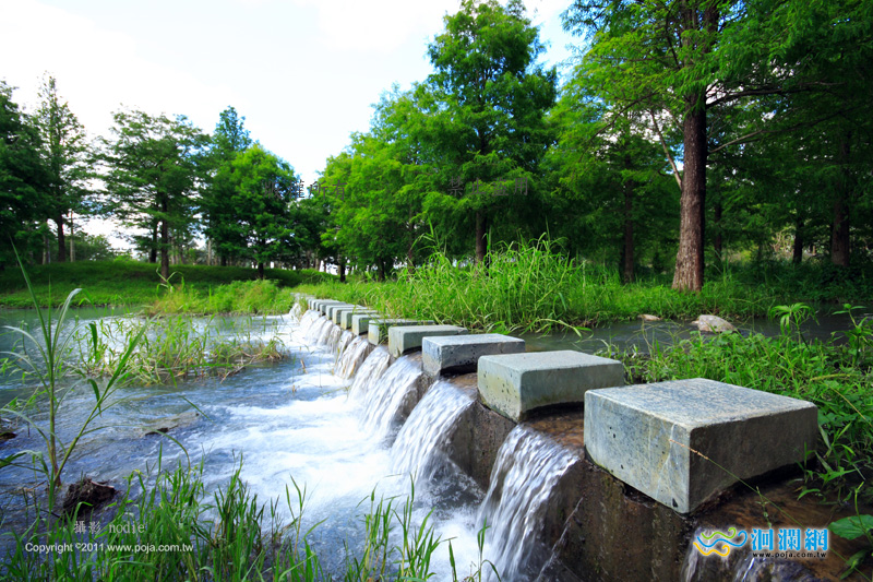 台灣好行-縱谷花蓮線7/2起增停「雲山水」站