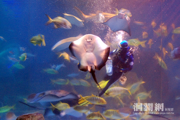 海洋公園-01.jpg