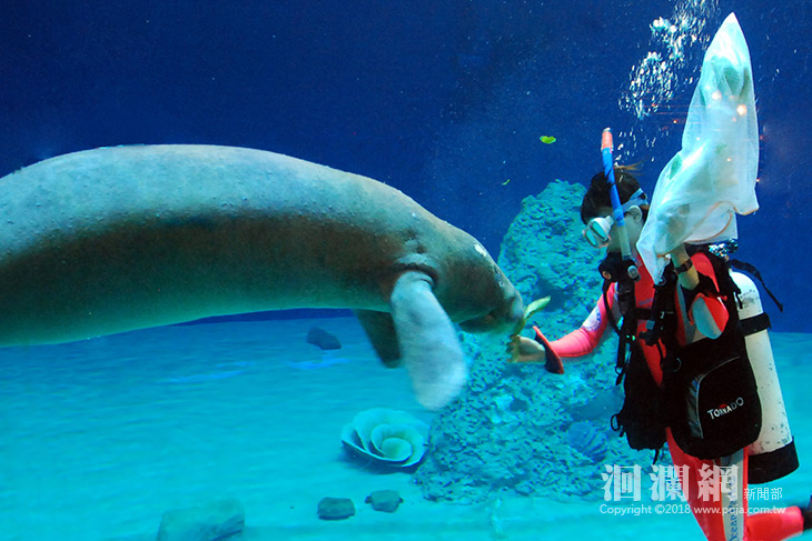 專屬的海洋教育學分，讓老師再充電