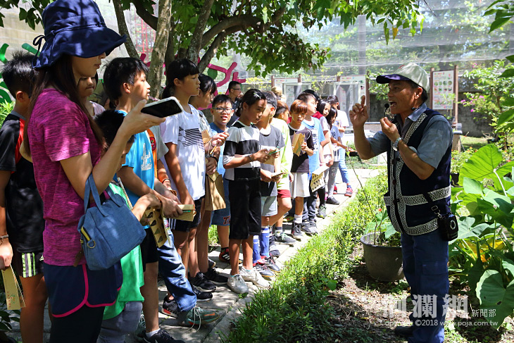 亞泥生態園區復育蝴蝶超豐富，免費入園