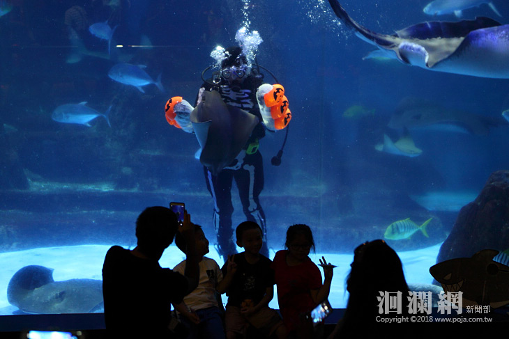 海洋公園-01.jpg