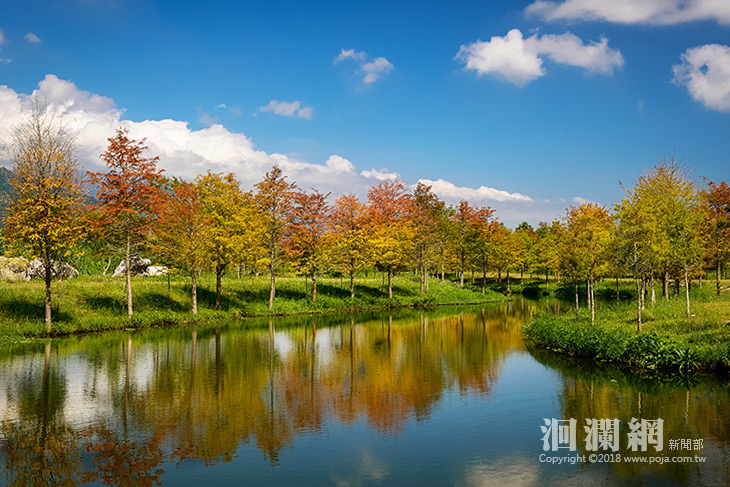 理想大地渡假新秘境，紅橙黃交織探訪絕美落羽松
