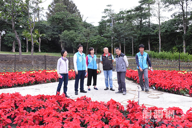 介壽新村花園元旦起開放，百花爭艷萬紫千紅