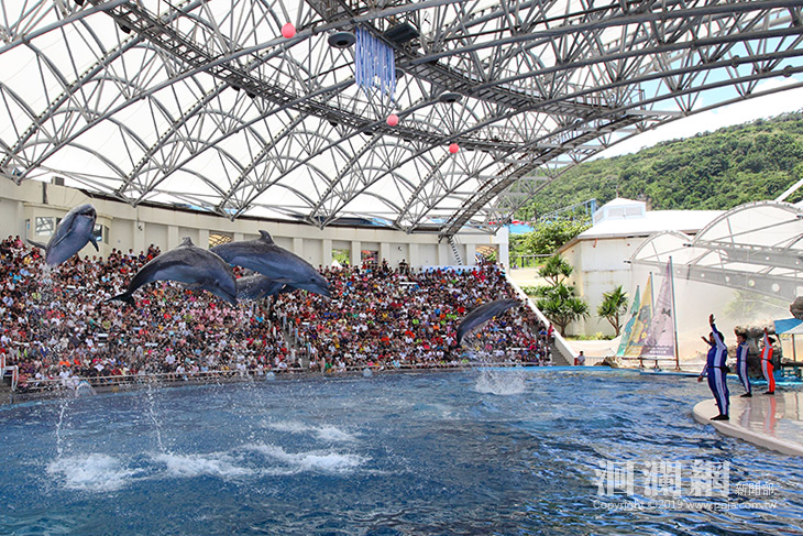 遠雄海洋公園春節連假6歲以下、60歲以上免費入