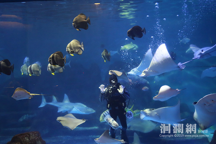 海洋公園-03.jpg