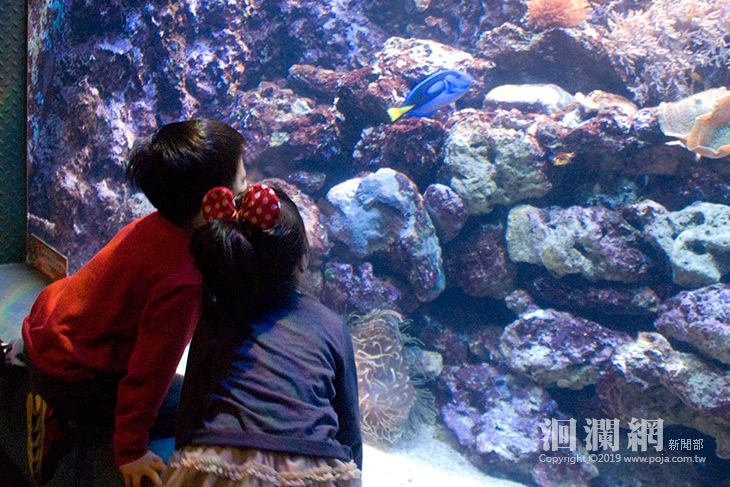 海洋公園-01.jpg