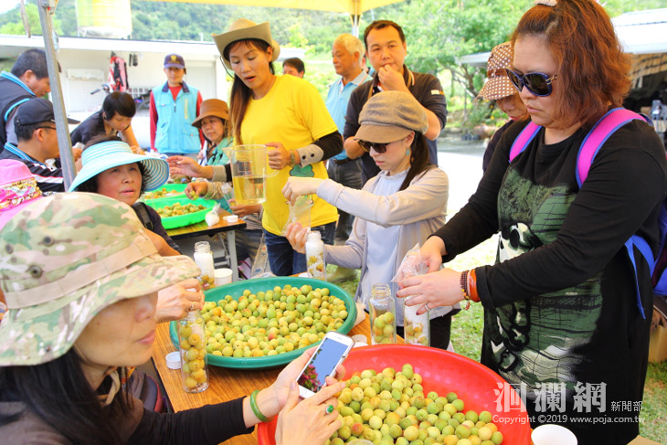 富里梅好四季農遊趣