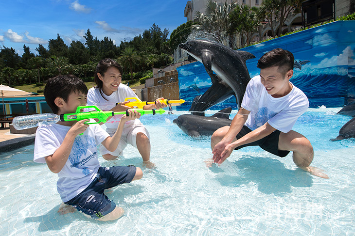 海洋公園免費接駁、6歲以下免費入園