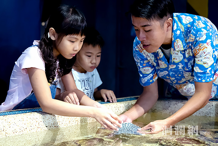 防疫戶外走，遠雄海洋公園兒童節優惠一波